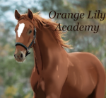 Orange lily academy