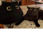 kittey productions