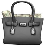 (CODE IN GROUPWALL) Purse Bag with Stacked Cash