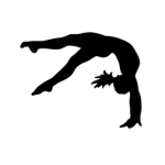 *Gymnastic Groups*