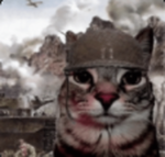 Neko war