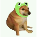 agustincito