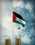 عصابه ولاد فلسطين