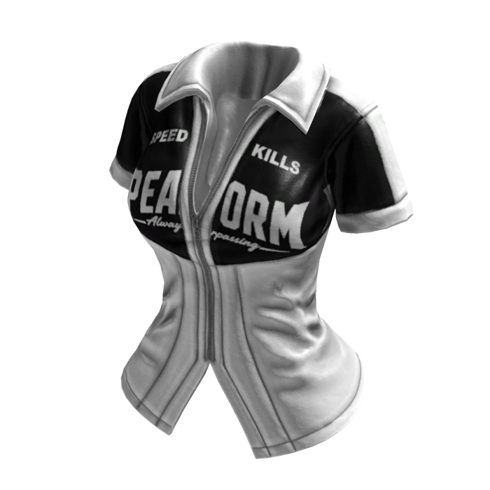 Y2K Sporty Streetracer Jacket (White Black)