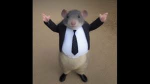 Fat animals!