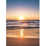 ~ SUNRISE ~