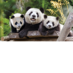 wir.sind.nice.xD
