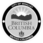 City of Walley Development Studio