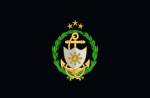 Naval Intelligence and Security Force