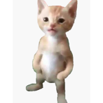 PRO ALEJANDRO