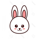 Ma bunny bro’s
