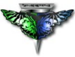 Elite Strike Force 22
