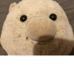 plus pig