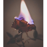 ~Sᴀᴅ Vɪʙᴇs~