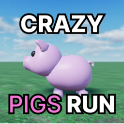 Crazy Pigs Run