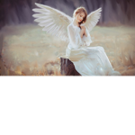 angel girls!