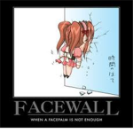 FaceWall