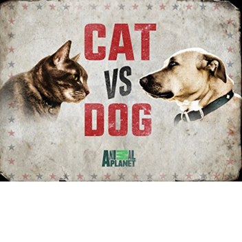 dogs vs cats a battle no one will forget