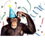 Funky Monkeys (Official Group)