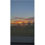 Sunset’s and Sunshine’s