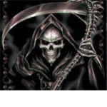 shadow crow ninja