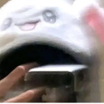 ali ai