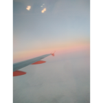 Soft _EMOZ