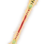 Wiki staff skin