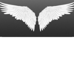 Air wings YO