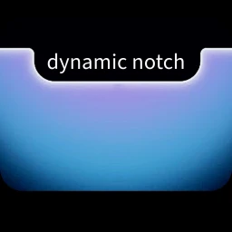 Dynamic Notch icon