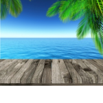 Paradise:palm_tree: