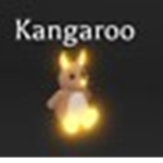 the kangaroo joeys