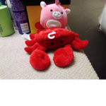 Best group of crab