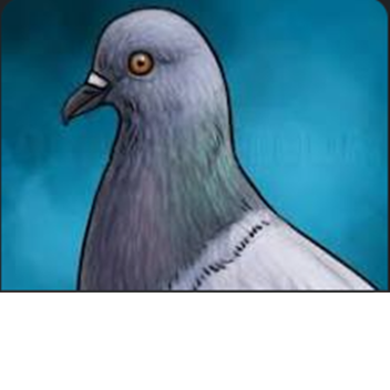 Find the pigeons 2 (🔨UPDATE✨)