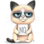Grumpy Cat Group :3