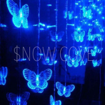 $NOW COVE