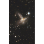 ~Hollys Stars~