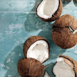 #coconut sqaud