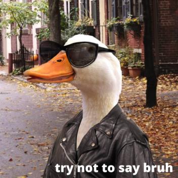 bruh.
