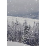 Ski’s Luuv