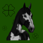 CLE | Clover Lake Eventing