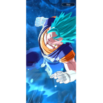 Dbz fans.
