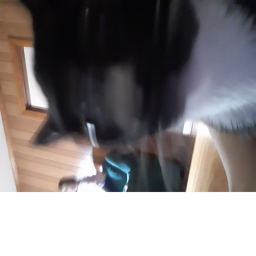 uwu