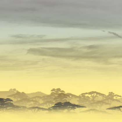 Tropical Yellow Skybox