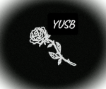 YUSB