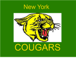 New York Cougars Baseball Team