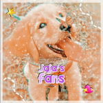 Jorjas fans