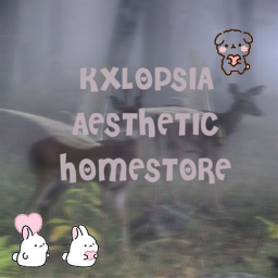 Kxlopsia Aesthetic Homestore