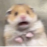 Potato joy