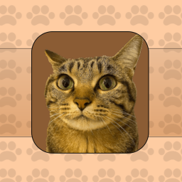 The Cat Clicker